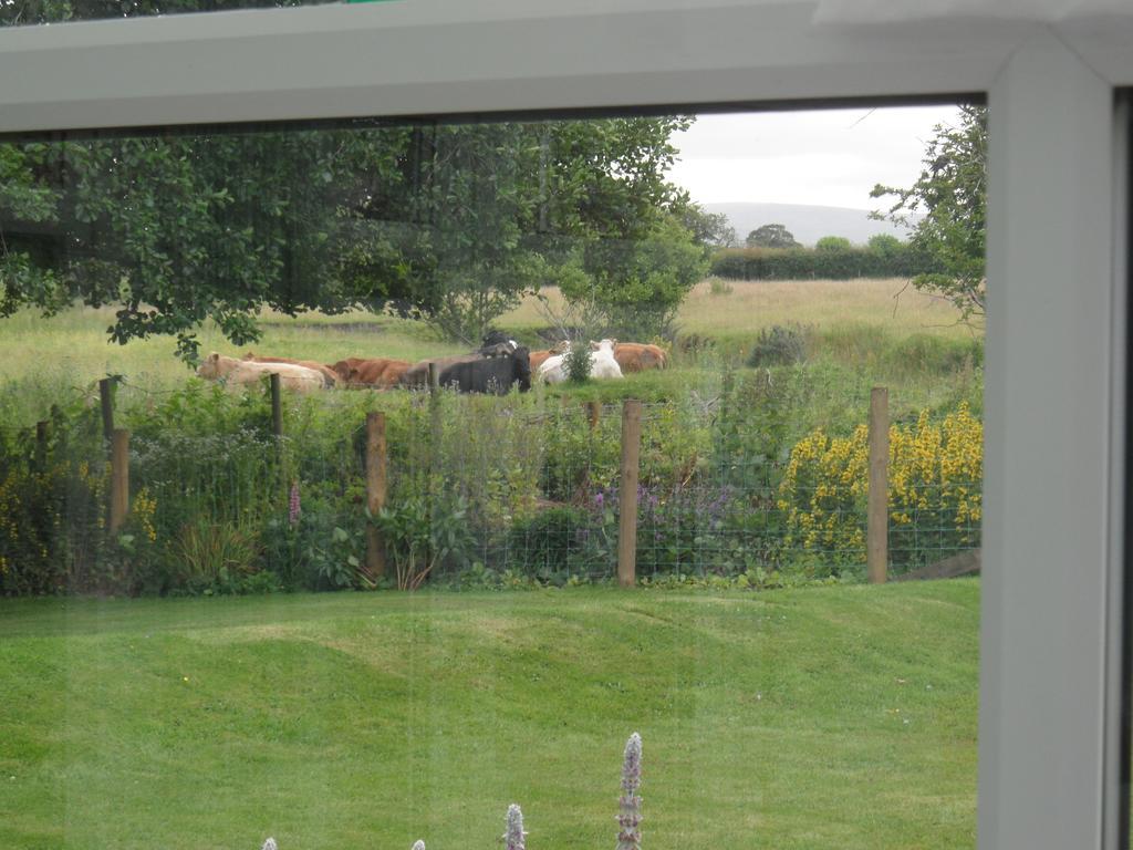 Troutbeck Cottage Carlisle  Bilik gambar